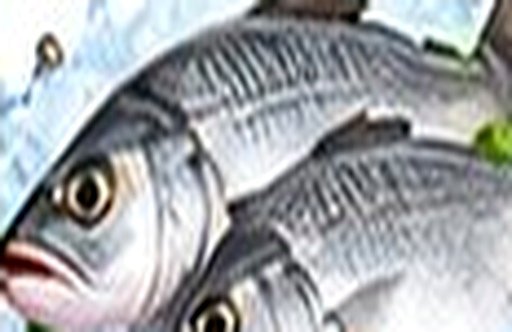 Ikan segar