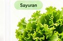 Selada